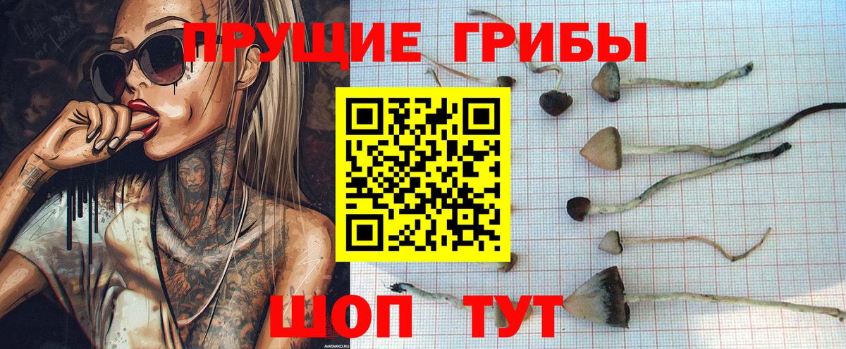 Псилоцибиновые грибы мухоморы Озёрск