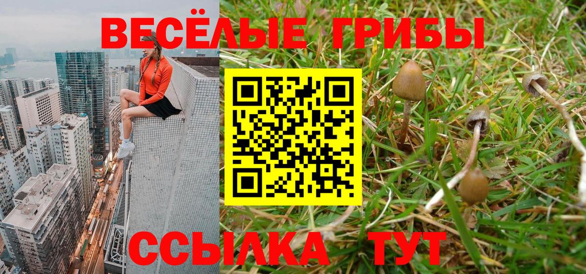 наркотики  Галлюциногенные грибы прущие грибы  Вход с VPN  Озёрск 