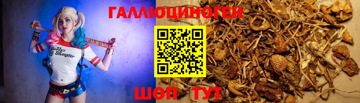 Амфетамин Озёрск