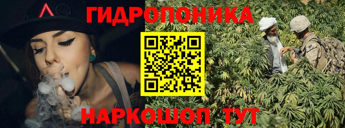 МАРИХУАНА SATIVA & INDICA  Вход с VPN  МАРИХУАНА тримм  Озёрск  Канабис сатива 
